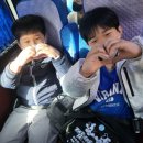 태금태권도 이미지