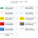 마이씨피 | 나트랑 달랏 일일투어 비교 후기 한국인 가이드라 더 좋았어요