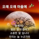 어머니의사랑(김태연) 이미지