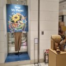 Dear My Pet | [허니콤보드, 롯데백화점] Dear my planet / 친환경 입체 포스터와 매대제작 후기 종이공장 주식회사