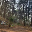 GS25장항솔바람점 이미지