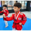 경희대 품태권도장 이미지