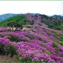 제339차 정기산행 안내(4/27) 이미지