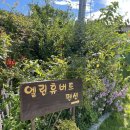 엘린휴버트 | [강화도 여행] 에어비앤비 숙소 예약 / 동막해변 근처 숙소 / 엘린휴버트펜션 이용후기💙