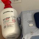 똥강쥐 | 일상140, 아쿠아리움 🐟..🫧