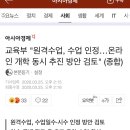 교육부 "원격수업, 수업 인정…온라인 개학 동시 추진 방안 검토" (종합) 이미지