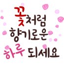 대우마린공인중개사사무소 이미지