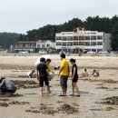 장미 펜션 이미지