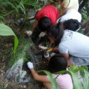 인성수산 이미지