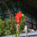 회룡사 - 1121 | 회룡사