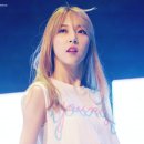 웅지세무대학교 이미지