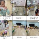 자연새싹 더코리아