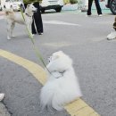 이룸독트레이닝 네이버블로그
