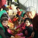 용정2리 충청탑뉴스