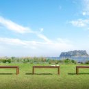 켄싱턴 리조트 서귀포(Kensington Resort Seogwipo) | 제주 서귀포 여행 느낌 물씬! 세련된 호텔 추천 TOP 4