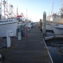 하프문베이 이미지