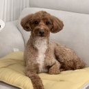 24시 봉담동물의료센터 이미지