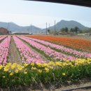 (주)한국그린피아 이미지