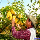 쇠골농장 이미지