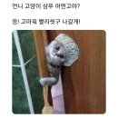 훌랄라 참숯 바베큐 이미지