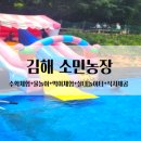 상룡농장 네이버블로그