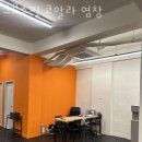 크로스핏 코알라 이미지