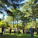 푸른숲요양병원 이미지