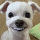드문커피 | [원주 카페] 사진 찍기 좋은 아기자기한 감성, 단구동 카페 드문 내돈내산 솔직 후기ㅠ