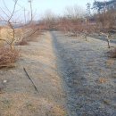 샤인하우스 가동 이미지