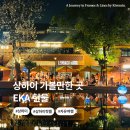 상하이 밤에 가볼만한 곳 푸동 지구 EKA현물, 환상적인 빛의 공간