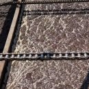 기포농장 이미지