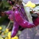 배바우농장 이미지