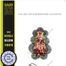 가우디미술학원 - 제천시 독순로 52 | 가우디미술학원