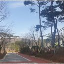 운서SK뷰부동산공인중개사사무소 이미지