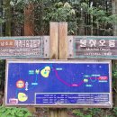 남조로 사려니숲길입구 네이버블로그