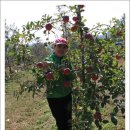 안동농원 이미지