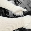 모닝글러브 이미지