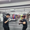 UP복싱클럽 | 해운대 복싱 다이어트부터 스트레스 해소까지!