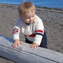 초록나무한의원 이미지