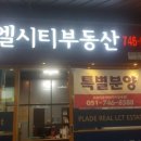 팔레드시즈부동산중개 이미지