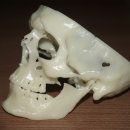 UV메디칼 이미지