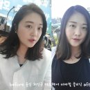 테드헤어 네이버블로그