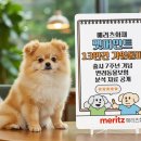 메리츠화재 이미지