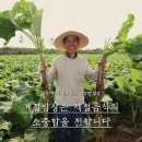 참좋은밥상 - 통영시 | 참좋은밥상