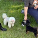 시흥승마힐링체험장 이미지