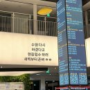 분당서현청소년수련관.양영디지털고등학교 | 분당 야탑청소년수련관 수영장 수영강습 등록 (새벽에 와서 수강신청)