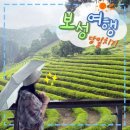 득량 | [전라남도 보성] 전남 당일치기 여행 코스 추천ㅣ 대한다원 녹차밭,득량역 커플 데이트 후기