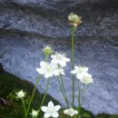 남평초교 이미지