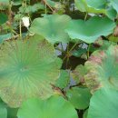 행안초등학교 이미지