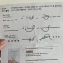 꽃민들레 | 다이소 투명 프랑스 자수 민들레꽃 후기